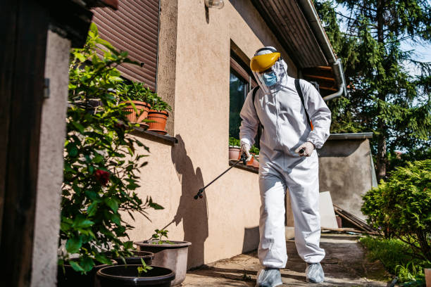 Best Pest Control for Businesses  in Glenwood Springs, CO