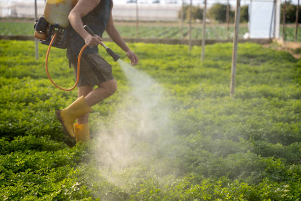 Best Pest Prevention Services  in Glenwood Springs, CO