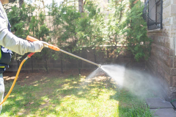 Best Pest Prevention Services  in Glenwood Springs, CO